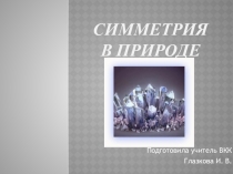 Симметрия в природе 8 класс