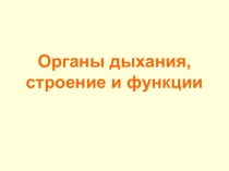 Презентация по возрастной анатомии, физиологии и гигиене на тему