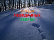 Презентация  Следы невиданных зверей
