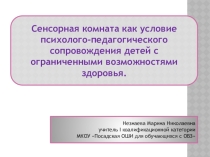 Презентация Сенсорная комната как условие психолого-педагогического сопровождения детей с ограниченными возможностями здоровья.