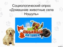 Социологический опрос Домашние животные села Ношуль