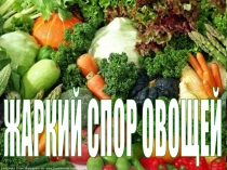 Презентация по ознакомлению с природой Жаркий спор овощей