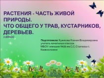 Растения-часть живой рироды (1 класс)