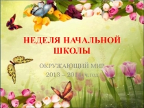 Презентация Неделя начальной школы. Окружающий мир.