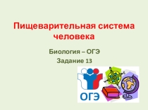 Презентация 8 класс тест Пищеварительная система