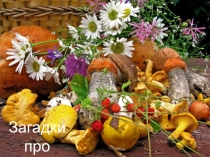 Загадки про грибы