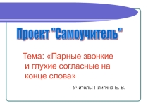 Презентация по русскому языку на тему Проект самооучитель