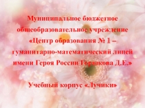 Отчетная презентация День Матери