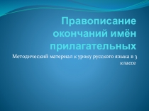 Правописание окончаний имен прилагательных