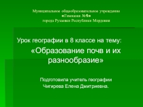 Презентация по географии на тему Образование почв (8 класс)