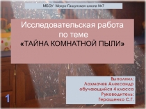 Научно-исследовательский проект ТАЙНА КОМНАТНОЙ ПЫЛИ