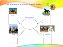 Малсақ бала 3 сынып