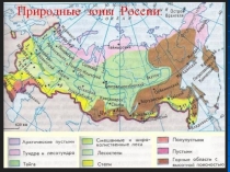 Презентация по географии на тему Арктика и тундра