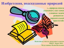 Конспект внеклассного занятия в рамках программы РИП Изобретения, созданные природой