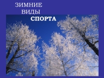Презентация по физической культуре Зимние виды спорта 7 класс