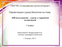 Презентация по биологии на тему Хлебные злаки