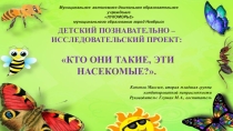 Презентация по познавательному развитию