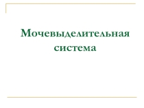Презентация к уроку Строение и функции мочевыделительной системы.