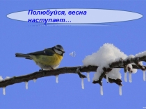 Презентация Полюбуйся, весна наступает!