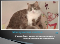 Мое пушистое счастье Иноземцева Анна