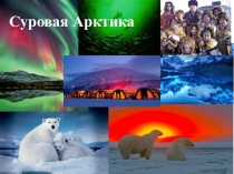 Презентация по окружающему миру Арктика