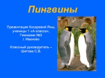 Презентация по окружающему миру 1 класс Пингвины