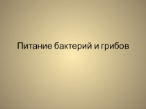 Питание бактерий и грибов (6 класс)