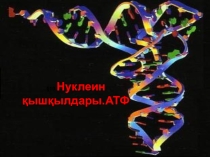 Химия пәнінен презентация нуклеин қышқылдары