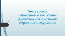 Презентация к уроку по биологии Дыхание и его этапы. Дыхательная система: строение и функции