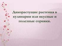 Дикорастущие растения в кулинарии или вкусные и полезные сорняки.