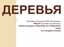 Презентация по развитию речи на тему Деревья (старшая группа)