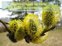 Презентация Всё весны дыханием согрето...