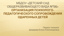 Организация психолого-педагогического сопровождения одаренных детей.
