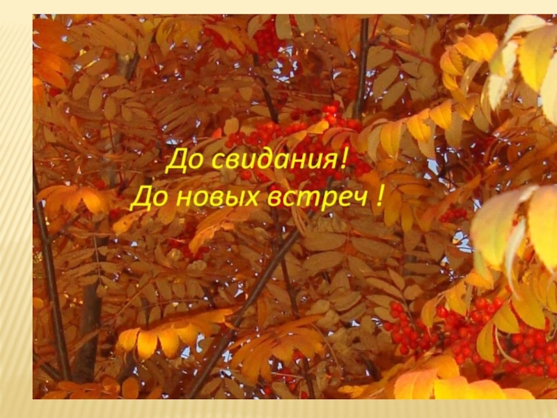 Измерение углов (5 класс)