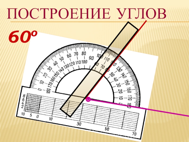 Измерение углов (5 класс) Построение углов60о● Построение углов60о●