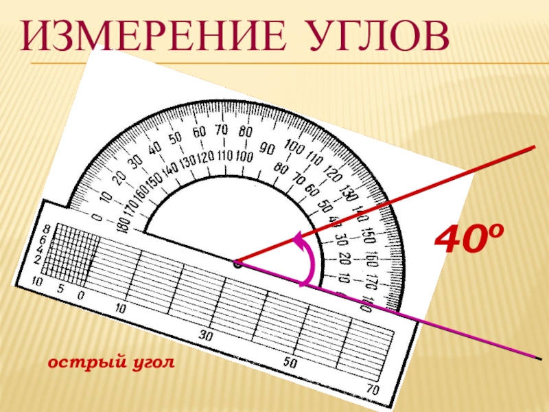 Измерение углов (5 класс) Измерение углов40оострый угол Измерение углов40оострый угол