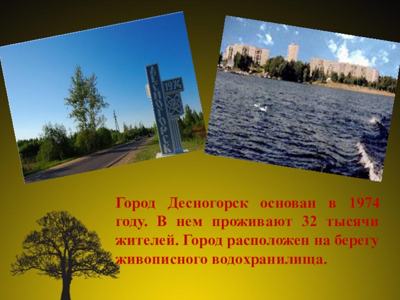Презентация проект Юные экологи Город Десногорск основан в 1974 году. В нем проживают 32 тысячи Город Десногорск основан в 1974 году. В нем проживают 32 тысячи жителей. Город расположен на берегу живописного