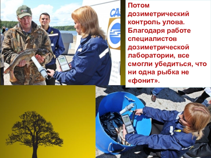 Презентация проект Юные экологи Потом дозиметрический контроль улова. Благодаря работе специалистов дозиметрической лаборатории, все смогли Потом дозиметрический контроль улова. Благодаря работе специалистов дозиметрической лаборатории, все смогли убедиться, что ни одна рыбка не