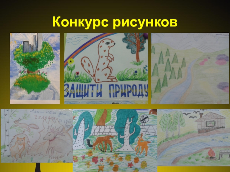 Презентация проект Юные экологи Конкурс рисунков Конкурс рисунков