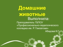 Презентация по МДК 03.02.Теория и методика развития речи у детей