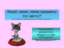 : Какой, какая, какие?