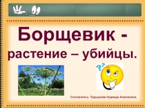 Презентация по биологии Борщевик -растение – убийцы.