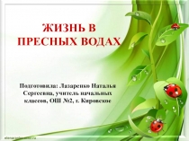 Презентация по окружающему миру на тему Жизнь пресных водоемов