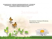 Презентация по экологии Зеленый луг, Выполнила ученица 6В класса Чебыкина Анастасия