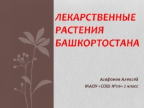Презентация по окружающему миру (3 класс)