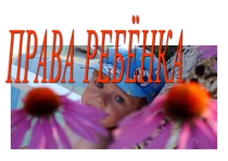 Презентация Классный час Права ребёнка 2 класс