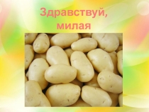 Презентация здравствуй милая картошка (подготовительная группа)