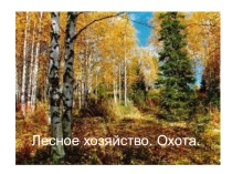 Презентация к уроку Лесное хозяйство. Охота