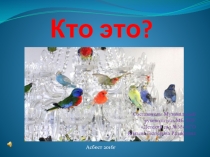 Презентация для дошкольников 3-7 лет Звуки птиц