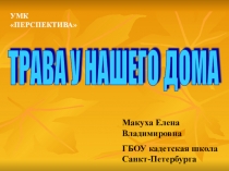 ТРАВА У НАШЕГО ДОМАПрезентация к уроку Окружающимй мир 2 класс УМК Перспектива